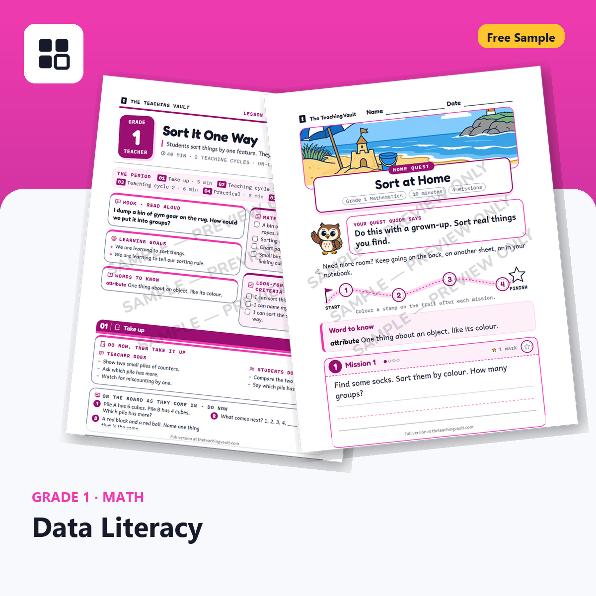 Grade 1 Data Literacy Free Sample cover