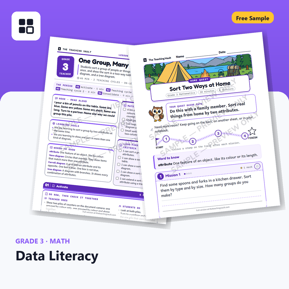 Grade 3 Data Literacy Free Sample cover