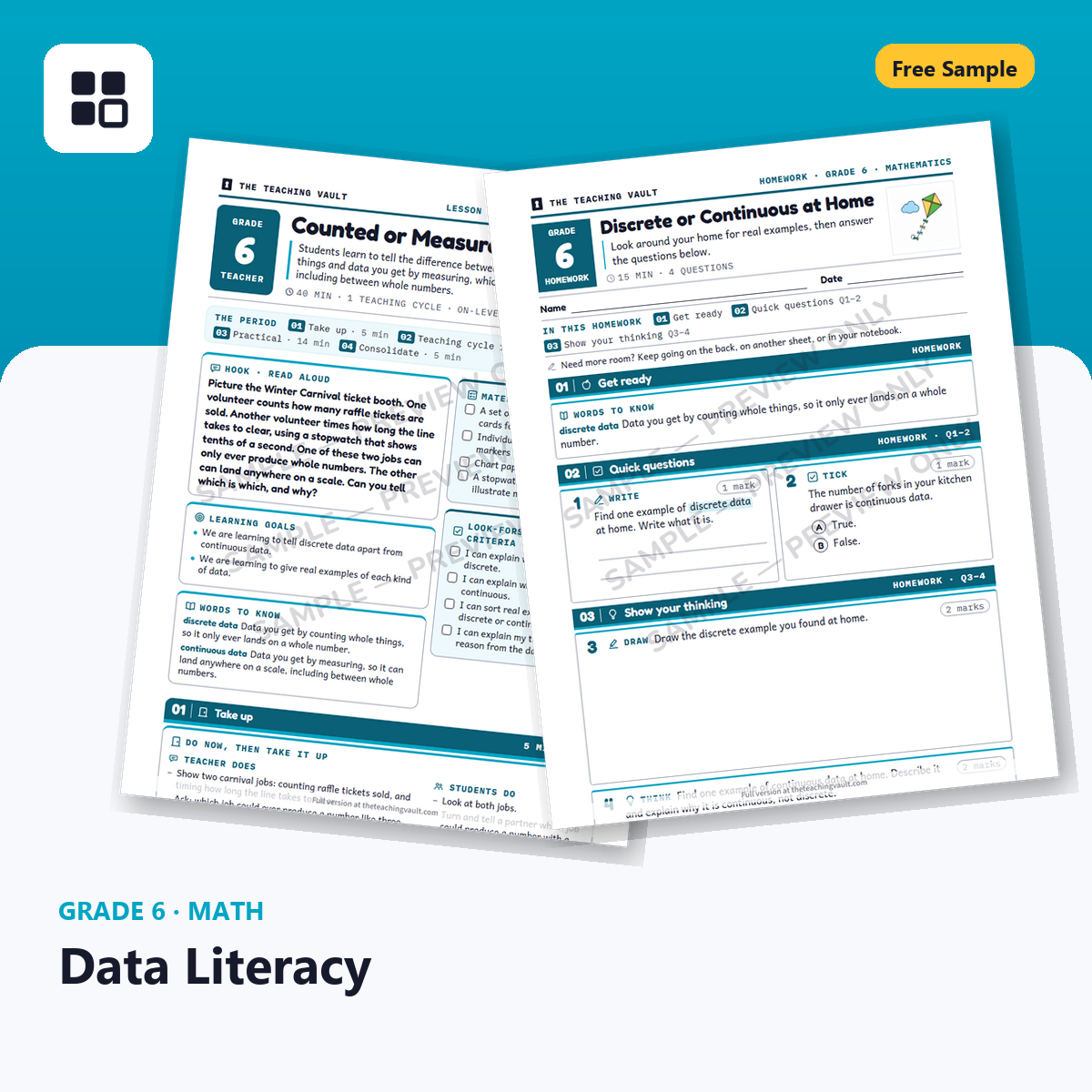 Grade 6 Data Literacy Free Sample cover