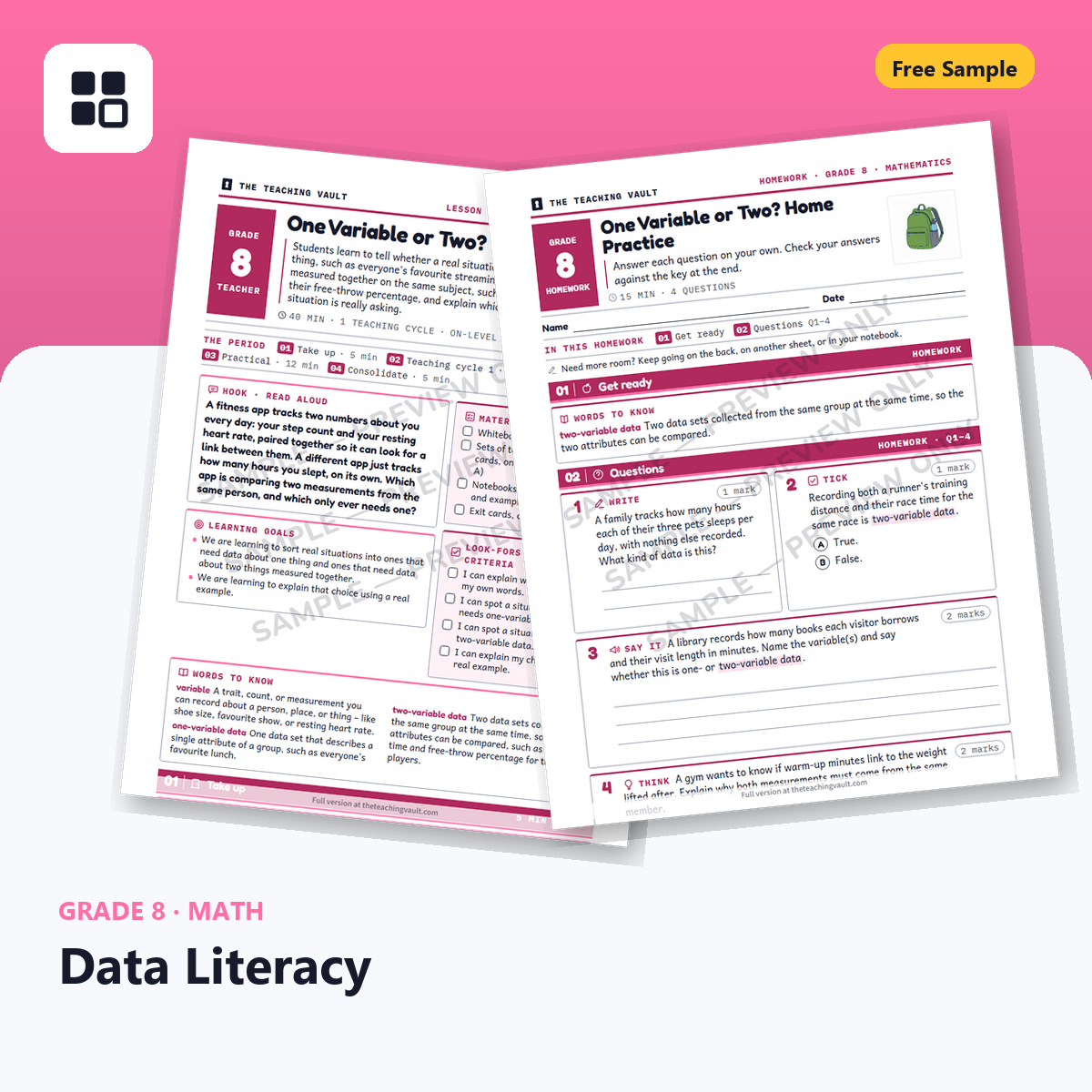 Grade 8 Data Literacy Free Sample cover